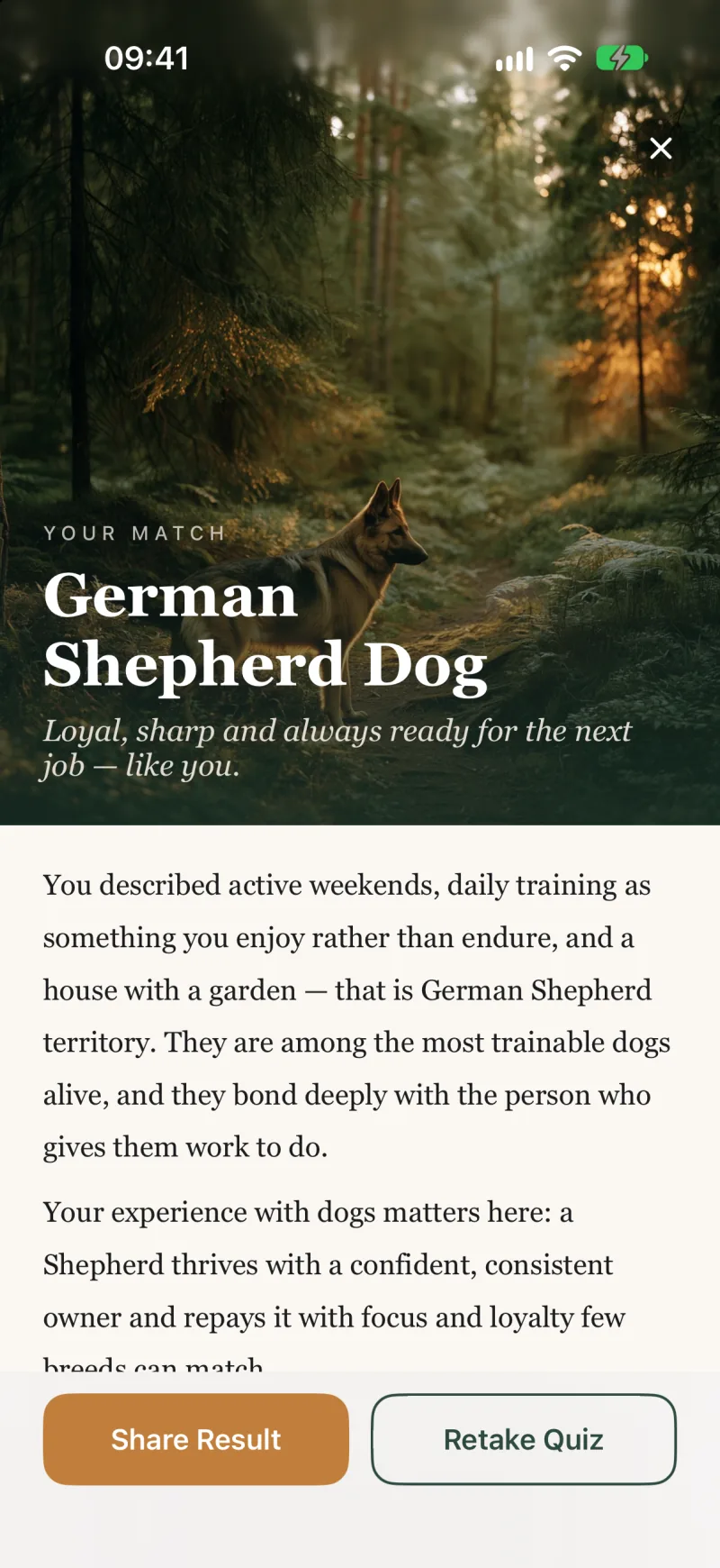 A Pawsonality match: the German Shepherd Dog, with a written explanation of why it fits