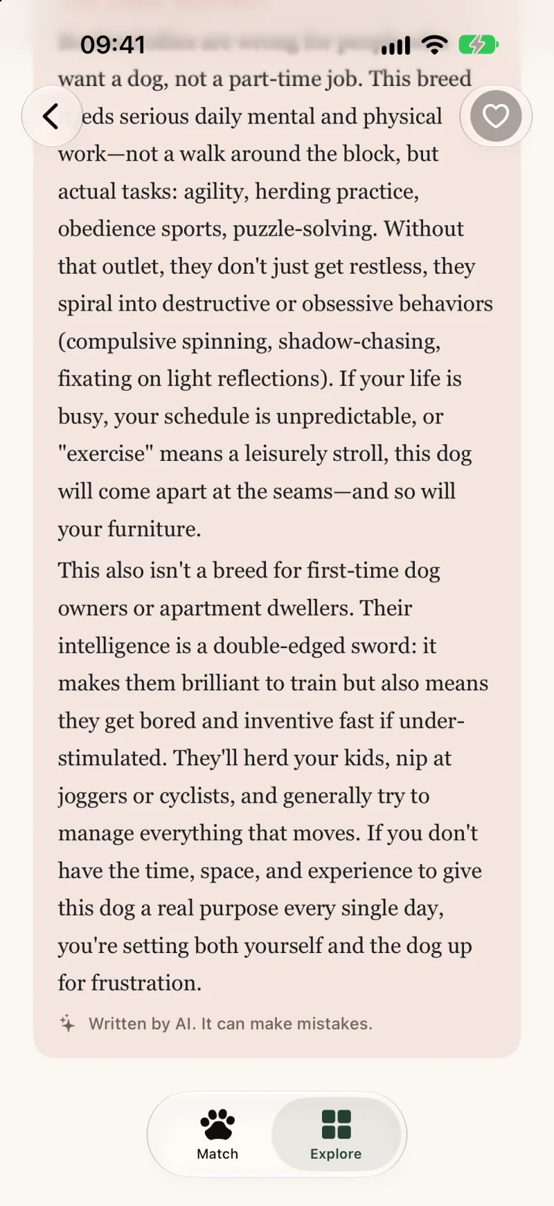 The Talk me out of it section, making the honest case against the Border Collie